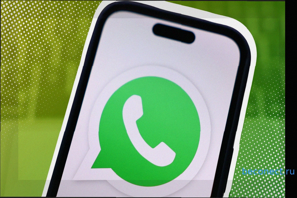 Как сохранить чужой статус WhatsApp без скриншотов
