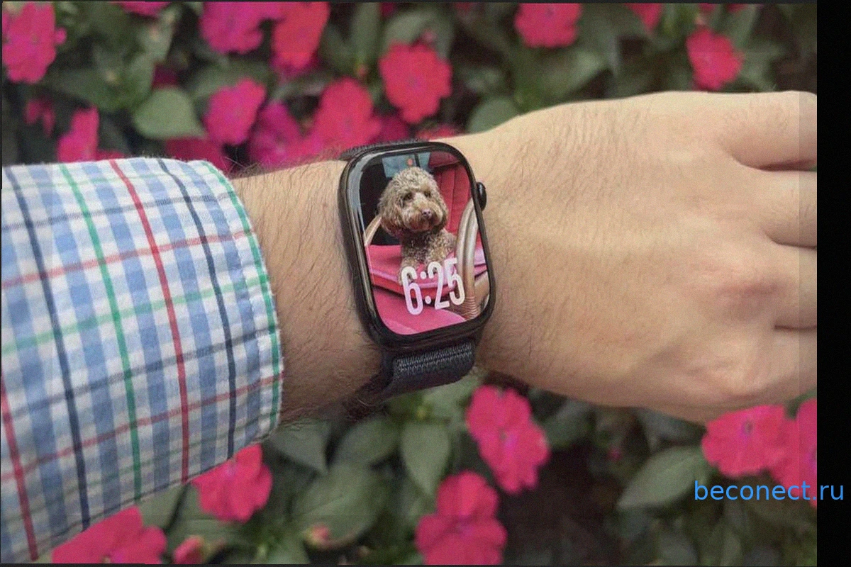 Какие Apple Watch выбрать в 2026 году?